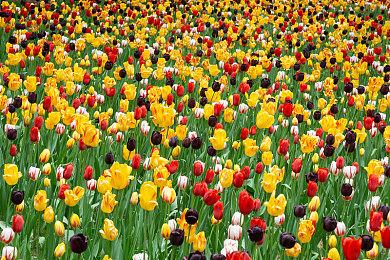 稳定增长！《死亡搁浅》玩家数超过1600万