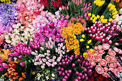 随着《最终幻想16》登陆PC PS5游戏数字版将停售